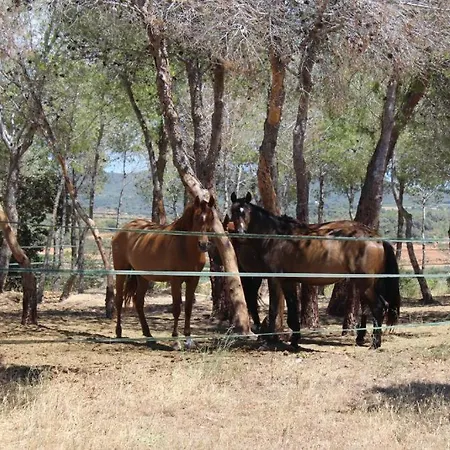 Rocaplana Club De Campo