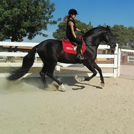 Rocaplana Club De Campo